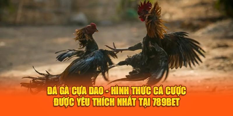 Đá gà cựa dao - tựa game thú vị được yêu thích nhất tại 789bet